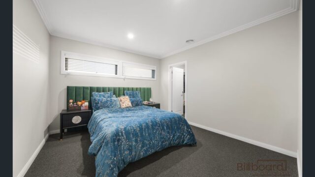 Bedroom with carpet flooring, green upholstered headboard, blue patterned bedding, bedside table with decor items, and high horizontal windows bringing in natural light, creating a simple and modern interior look.