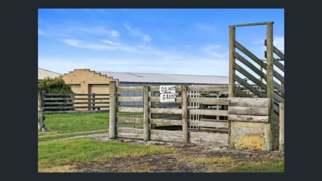 Rural livestock loading ramp and timber fencing on farmland with a clear blue sky background.